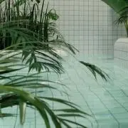 hiの画像