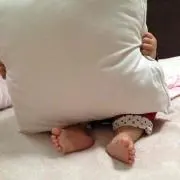 ®️の画像