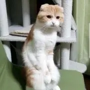 たけちやん