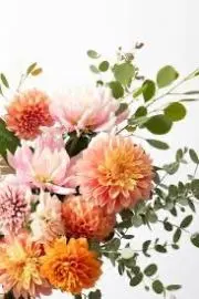 キク⭐︎※土日祝日　発送休み