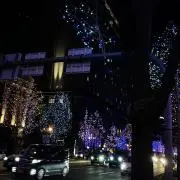 719の画像