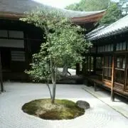 みっく