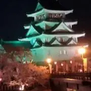 えいちゃんの画像