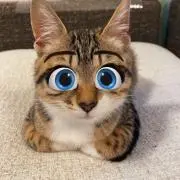 にゃんぱす国防長官の画像