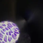 そまきんの画像