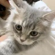 値下げ交渉→大歓迎⭐️ぎんちゃんの画像