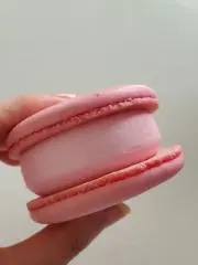 どらみ o((=゜ェ゜=))oの画像