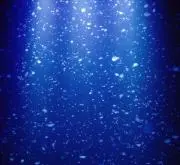 魚酉