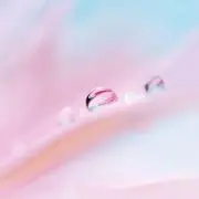 ぶぅとん
