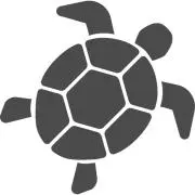 ウミガメの画像
