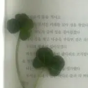 ℳの画像