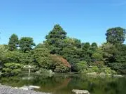 よっち
