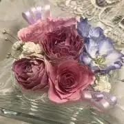 ぽぽんた＊
