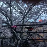 COLNAGO