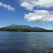 SKの画像