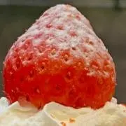 ミニーの画像