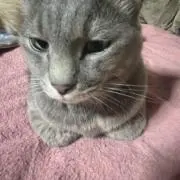 いずみ