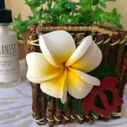 Aloha☆プロフ必読の画像