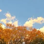はるか