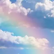 cocoの画像