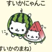 しょーの画像