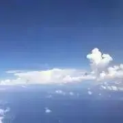 にーこの画像