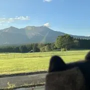 モエ(購入前にプロフィールをご覧くださいの画像