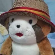らすかるの画像