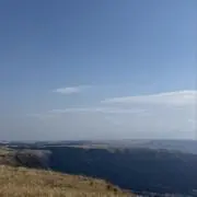 ばもの画像