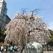 Beansの画像