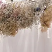 ほしの画像