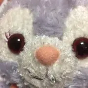 にっしーの画像
