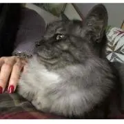 ひかちの画像