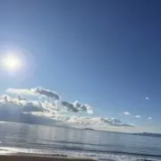 原