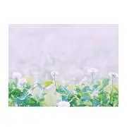 アイスの画像