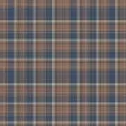 まの画像