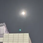 リューの画像