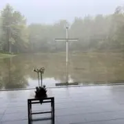 yaneの画像
