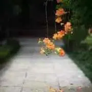 燕