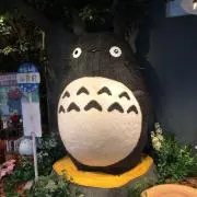 masaの画像