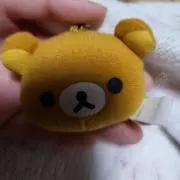 nozonの画像