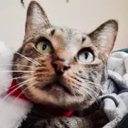 HIROの画像