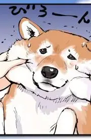 かねごん