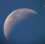 みるくくるみ