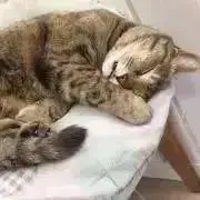 リサイクル　TMSの画像