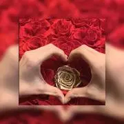 ☆プロフ必読☆★boa_naom★の画像
