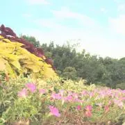 ☆Phoo☆の画像