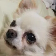 もとにいの画像