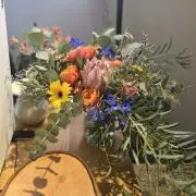 sh_nt_r_の画像