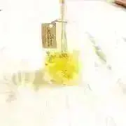 レモン　売り尽くし中！割引き有り！の画像